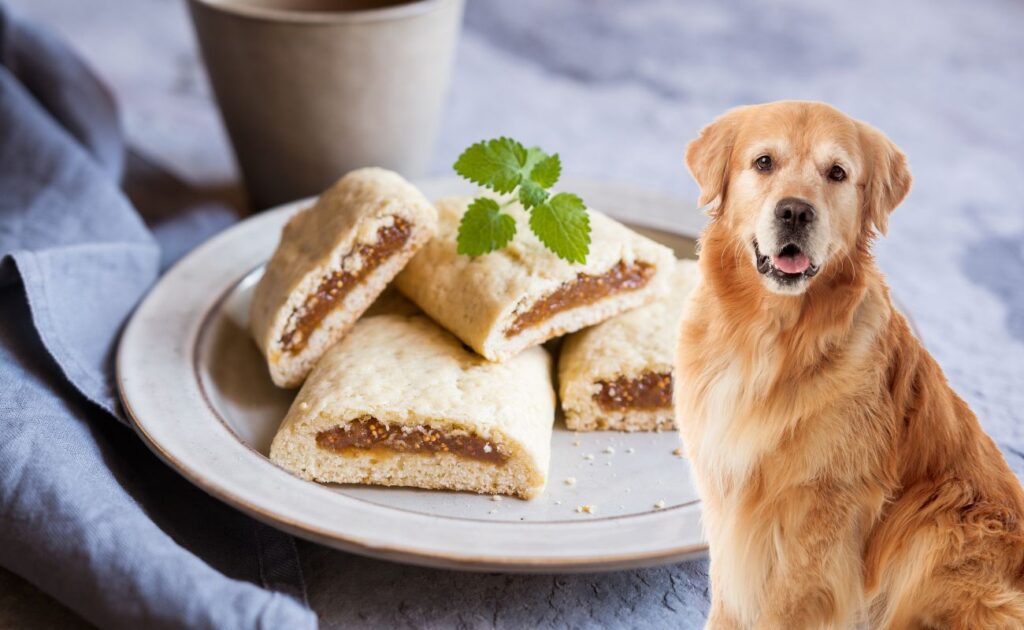 Can Dogs Eat Fig Newtons?