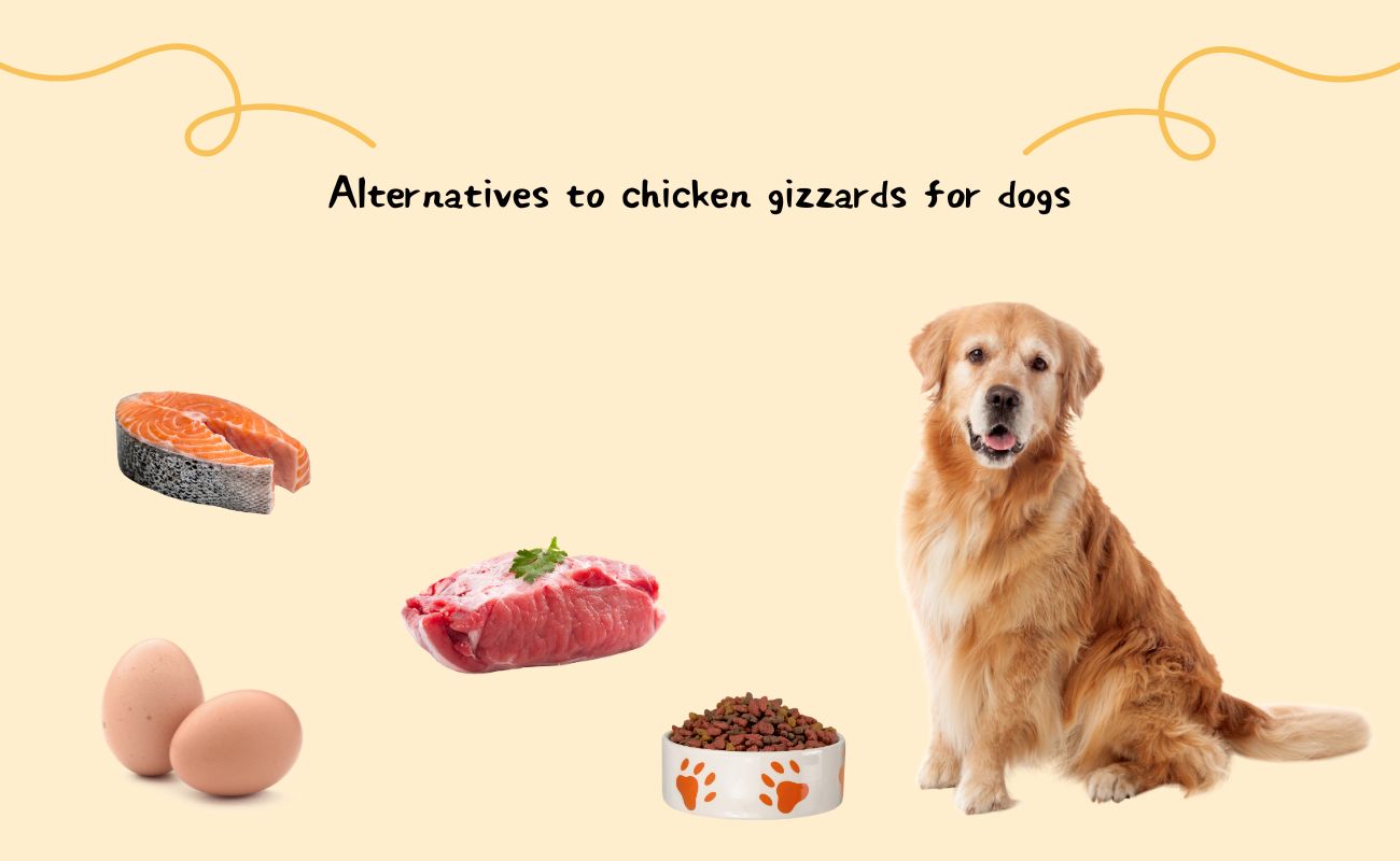 Alternatives to Chicken Gizzards for Dogs