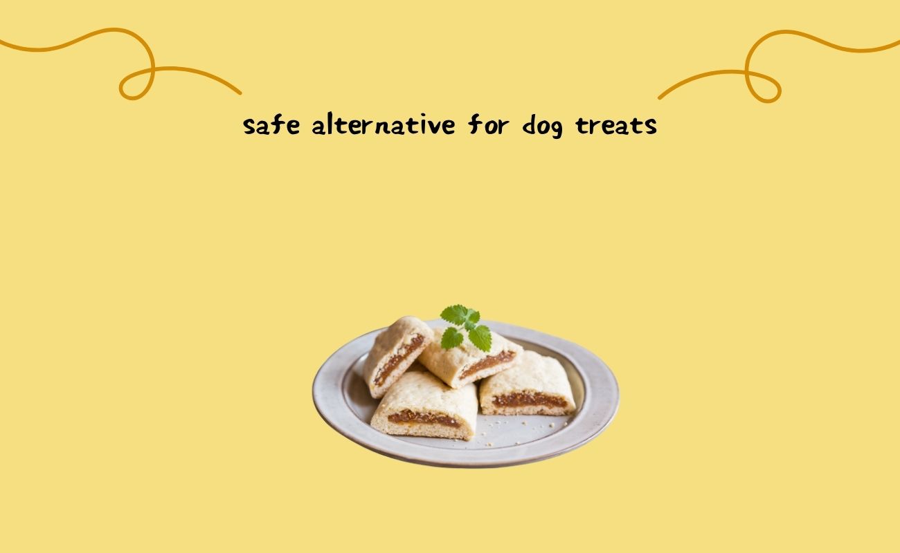 Safe Alternatives for Dog Treats