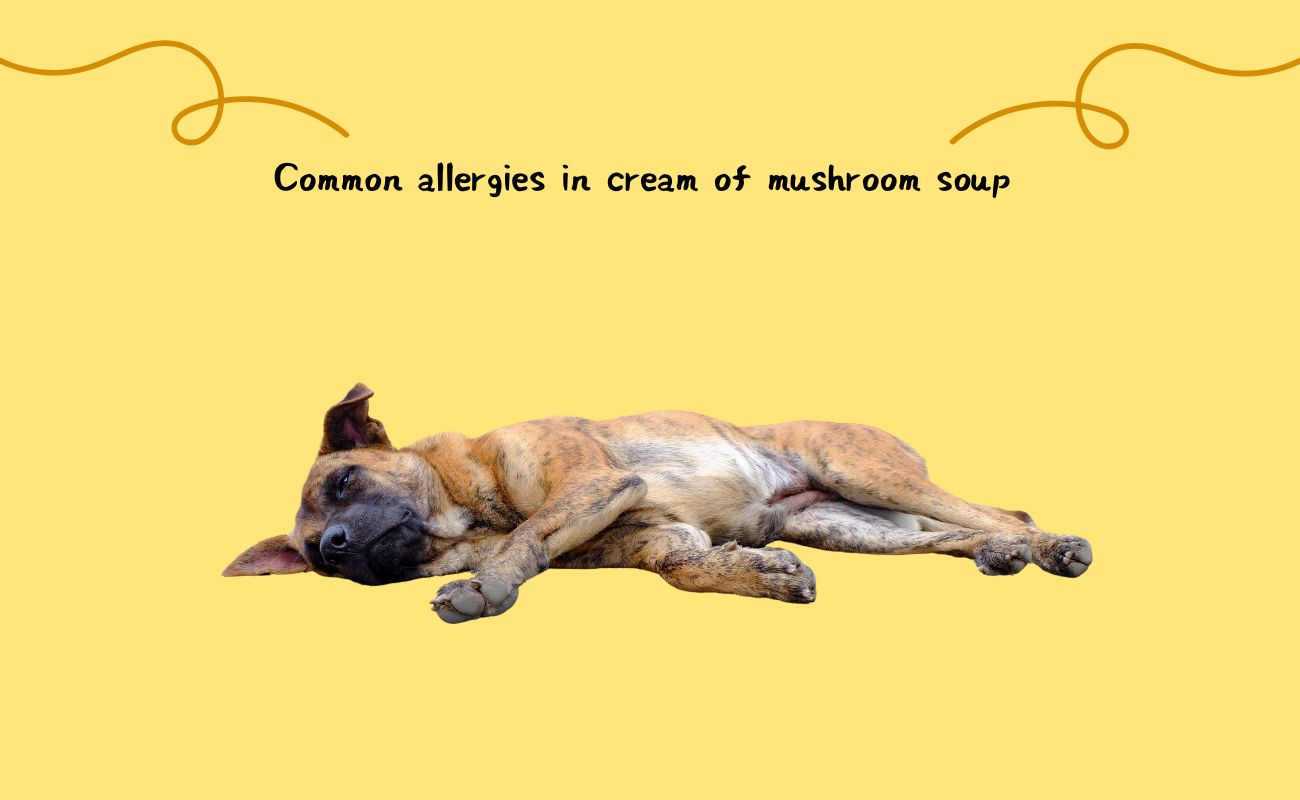 Common Allergens in Cream of Mushroom Soup