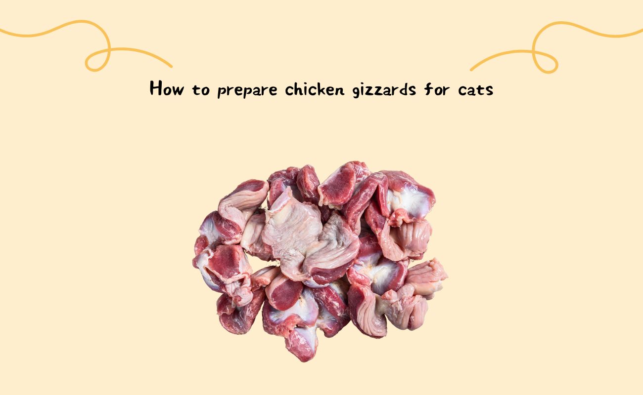 How to prepare chicken gizzards for cats