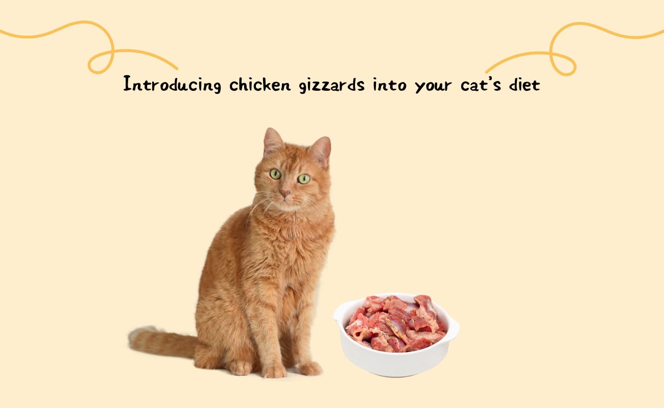 Introducing Chicken Gizzards into Your Cat's Diet