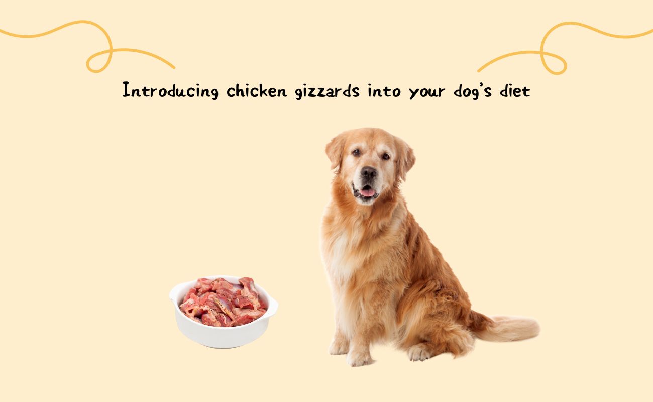 Introducing Chicken Gizzards into Your Dog's Diet