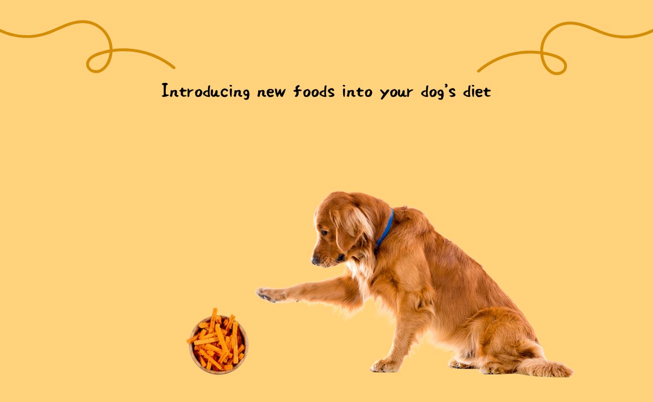 Introducing New Foods into Your Dog's Diet