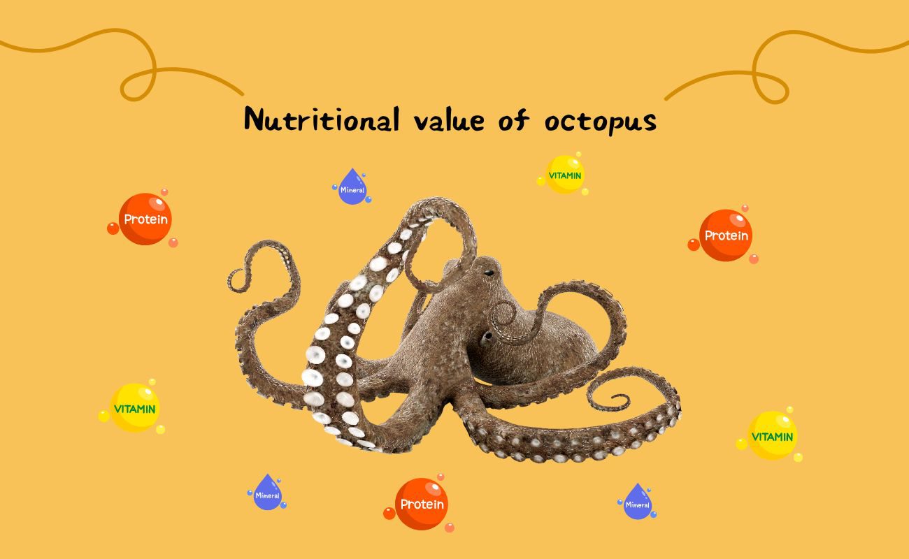 Nutritional Profile of Octopus