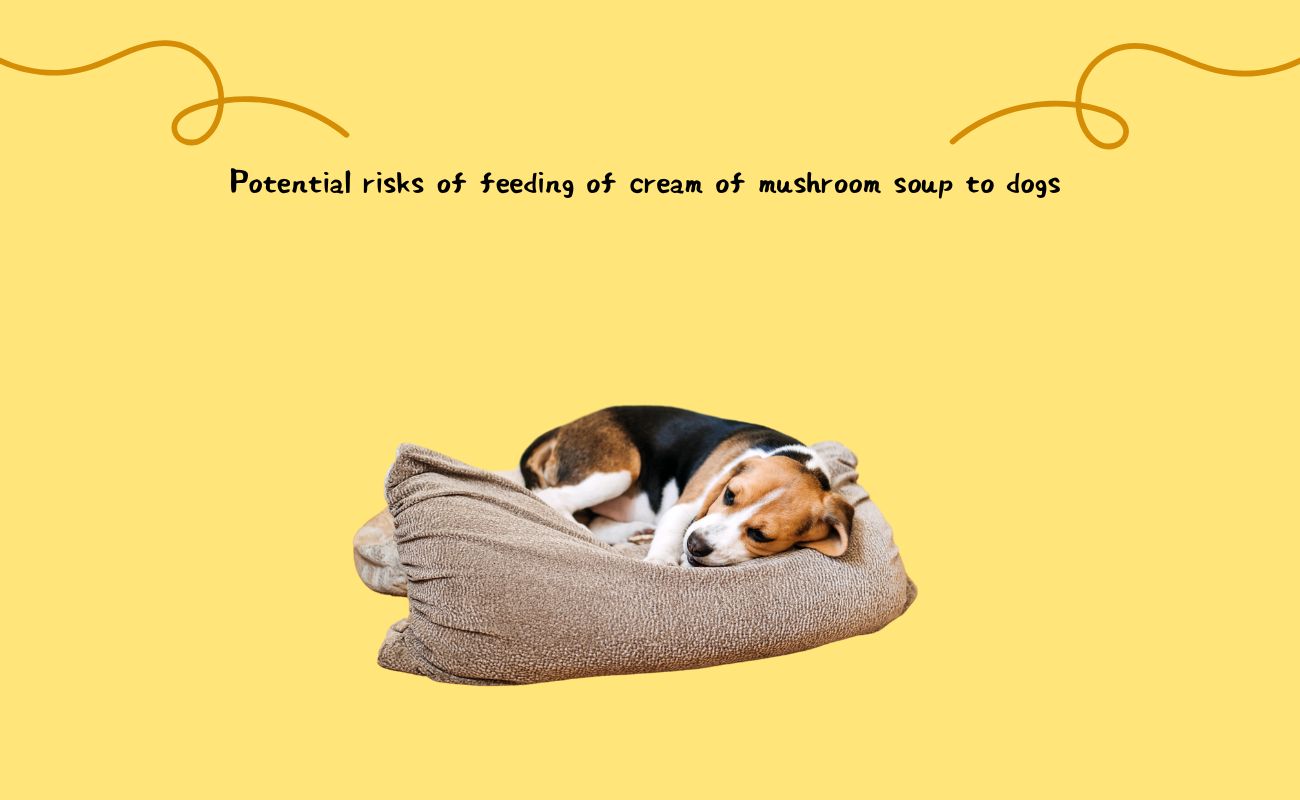 Potential Risks of Feeding Cream of Mushroom Soup to Dogs