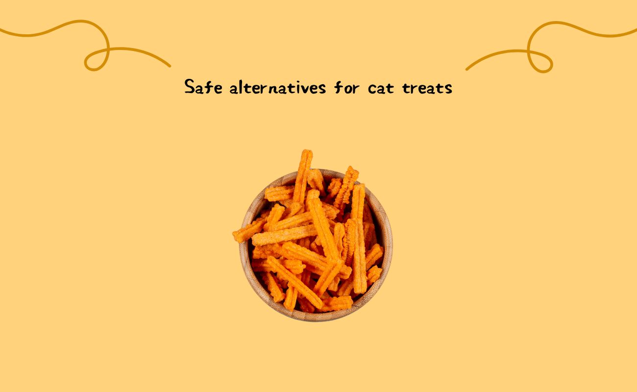 Safe Alternatives for Cat Treats