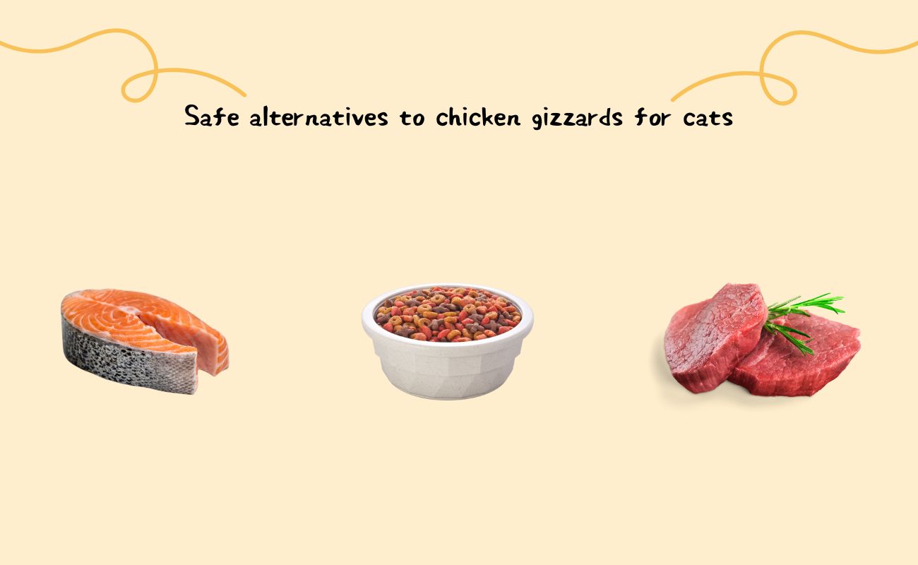 Safe alternatives to chicken gizzards for cats