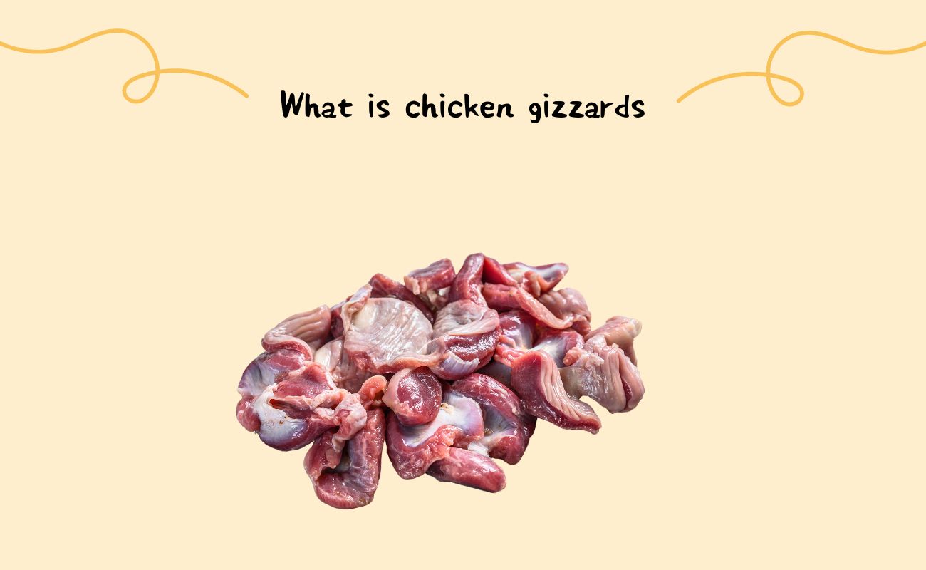 What is chicken gizzards