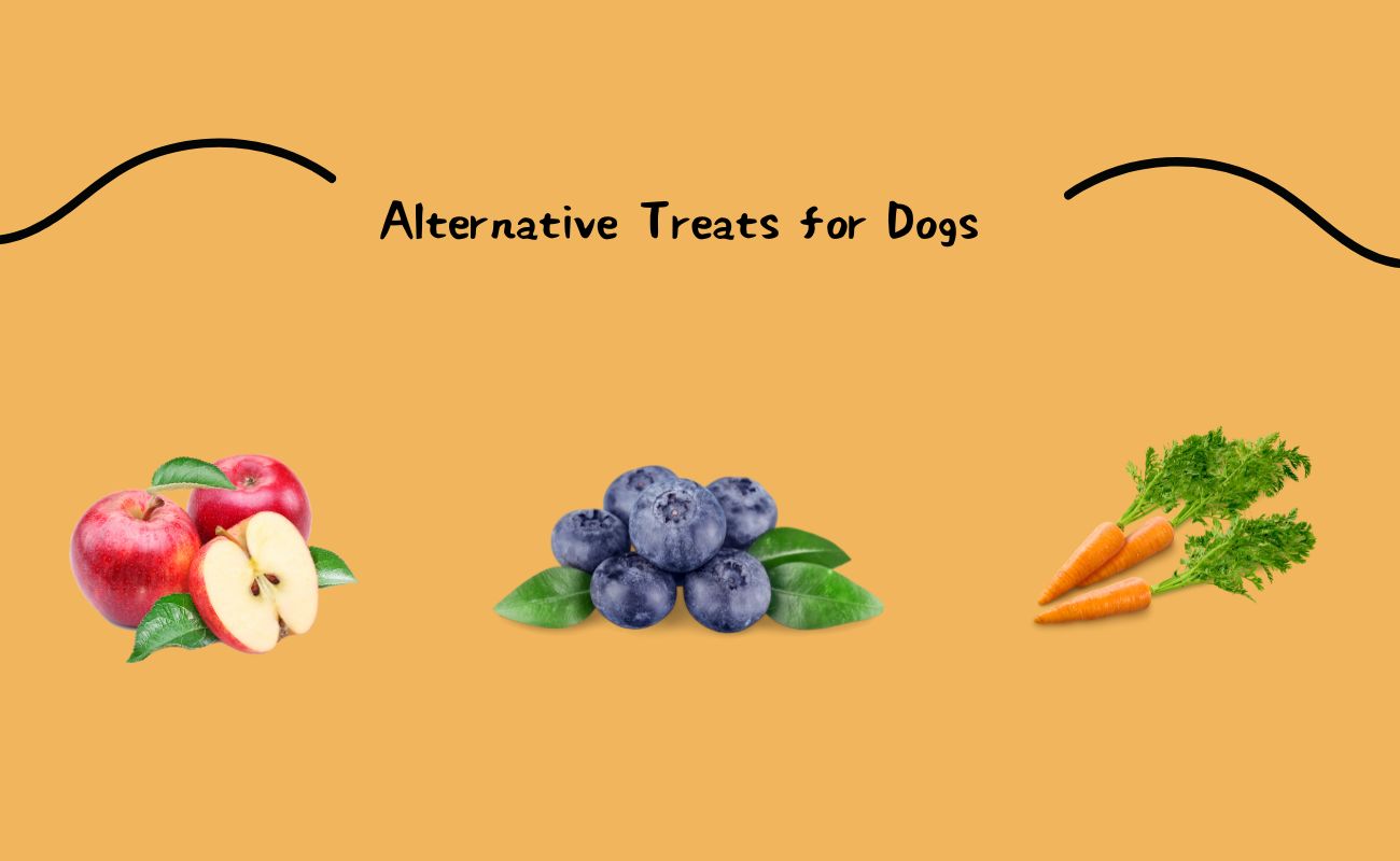 Alternative Treats for Dogs