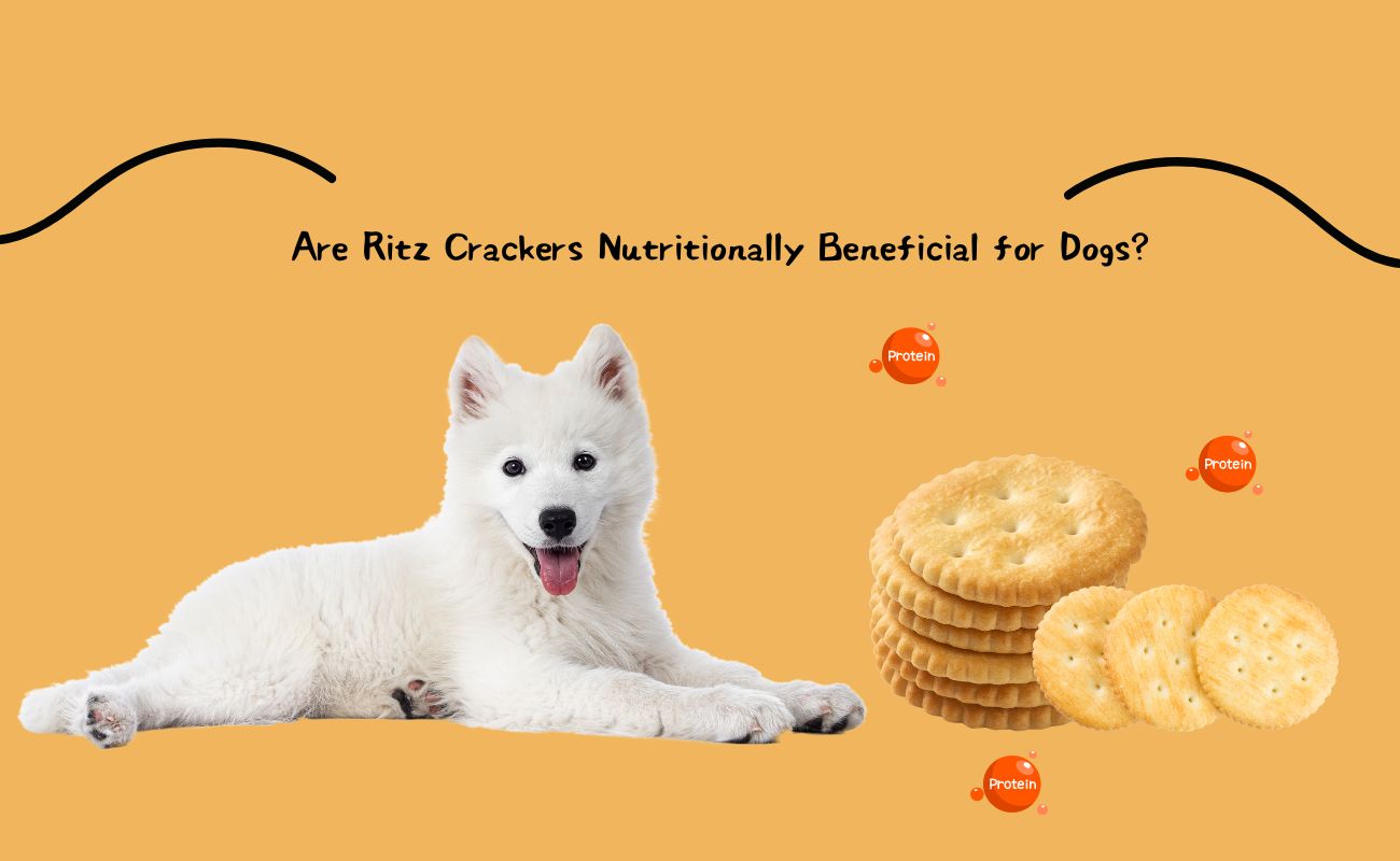 Are Ritz Crackers Nutritionally Beneficial for Dogs?