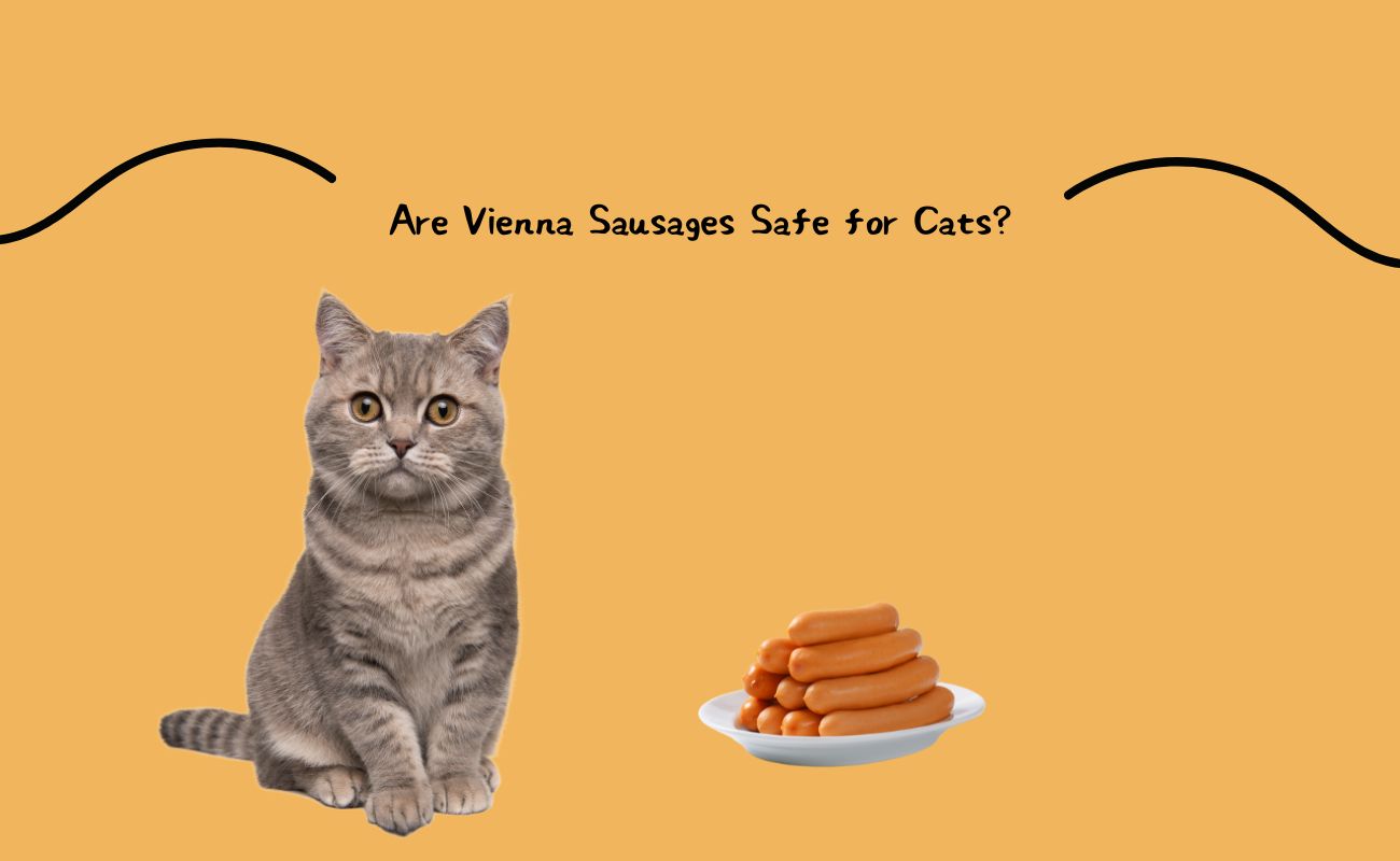 Are Vienna Sausages Safe for Cats?