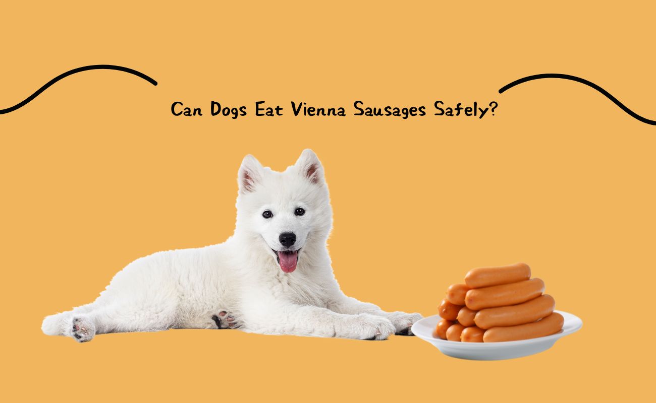 Can Dogs Eat Vienna Sausages Safely?