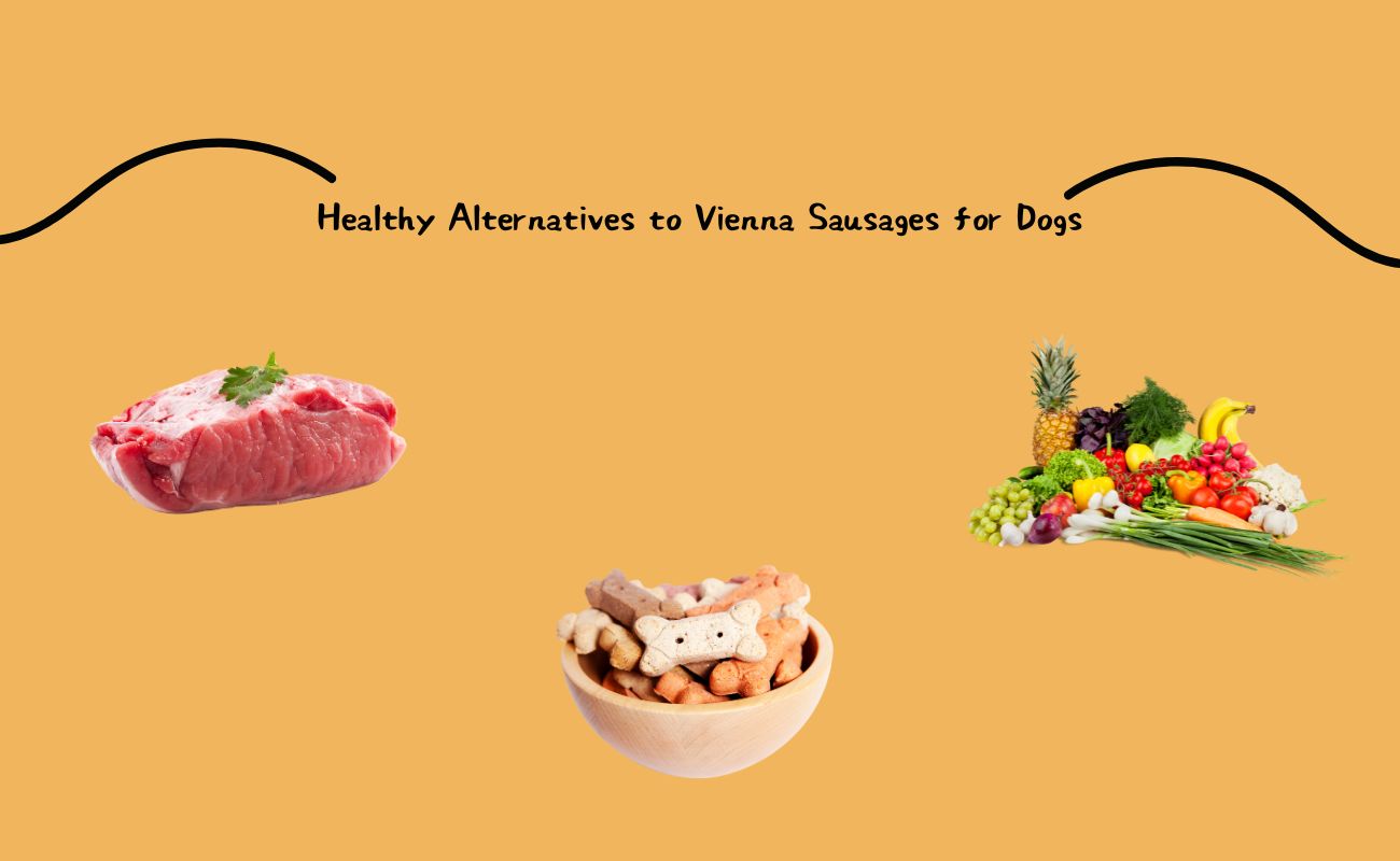 Healthy Alternatives to Vienna Sausages for Dogs