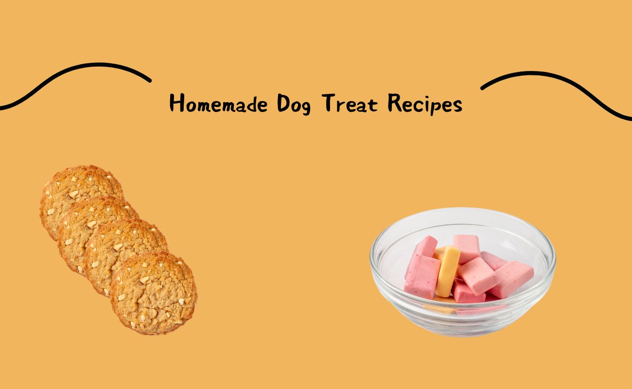 Homemade Dog Treat Recipes