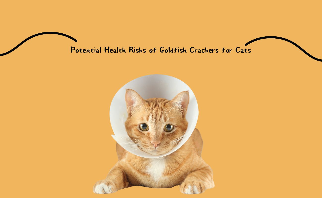 Potential Health Risks of Goldfish Crackers for Cats