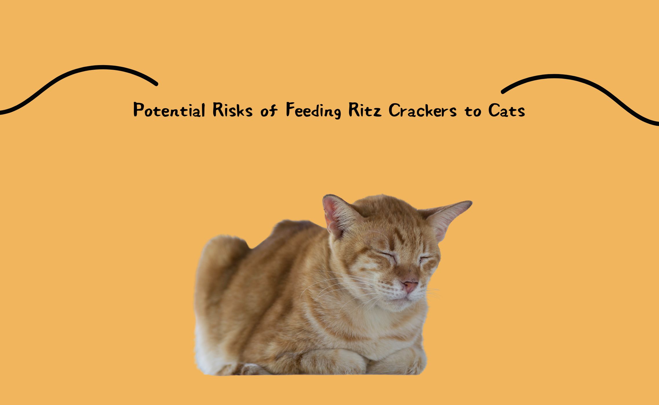 Potential Risks of Feeding Ritz Crackers to Cats