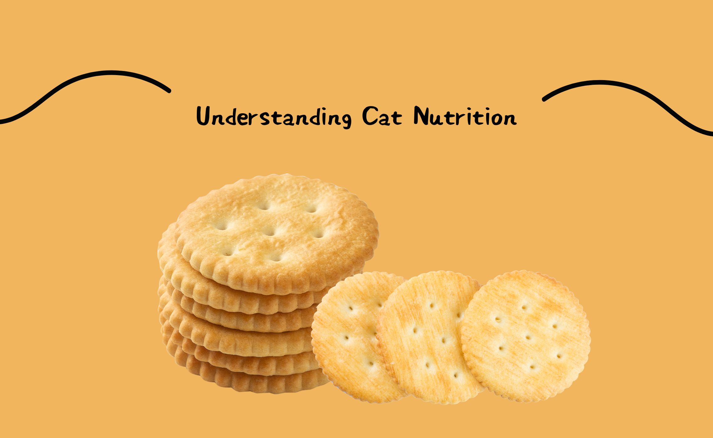 Understanding Cat Nutrition