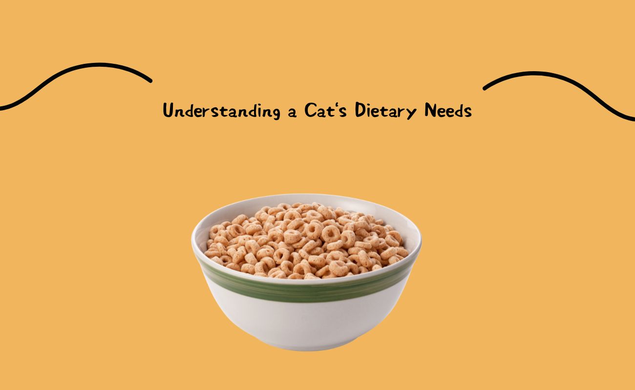 Understanding a Cat's Dietary Needs