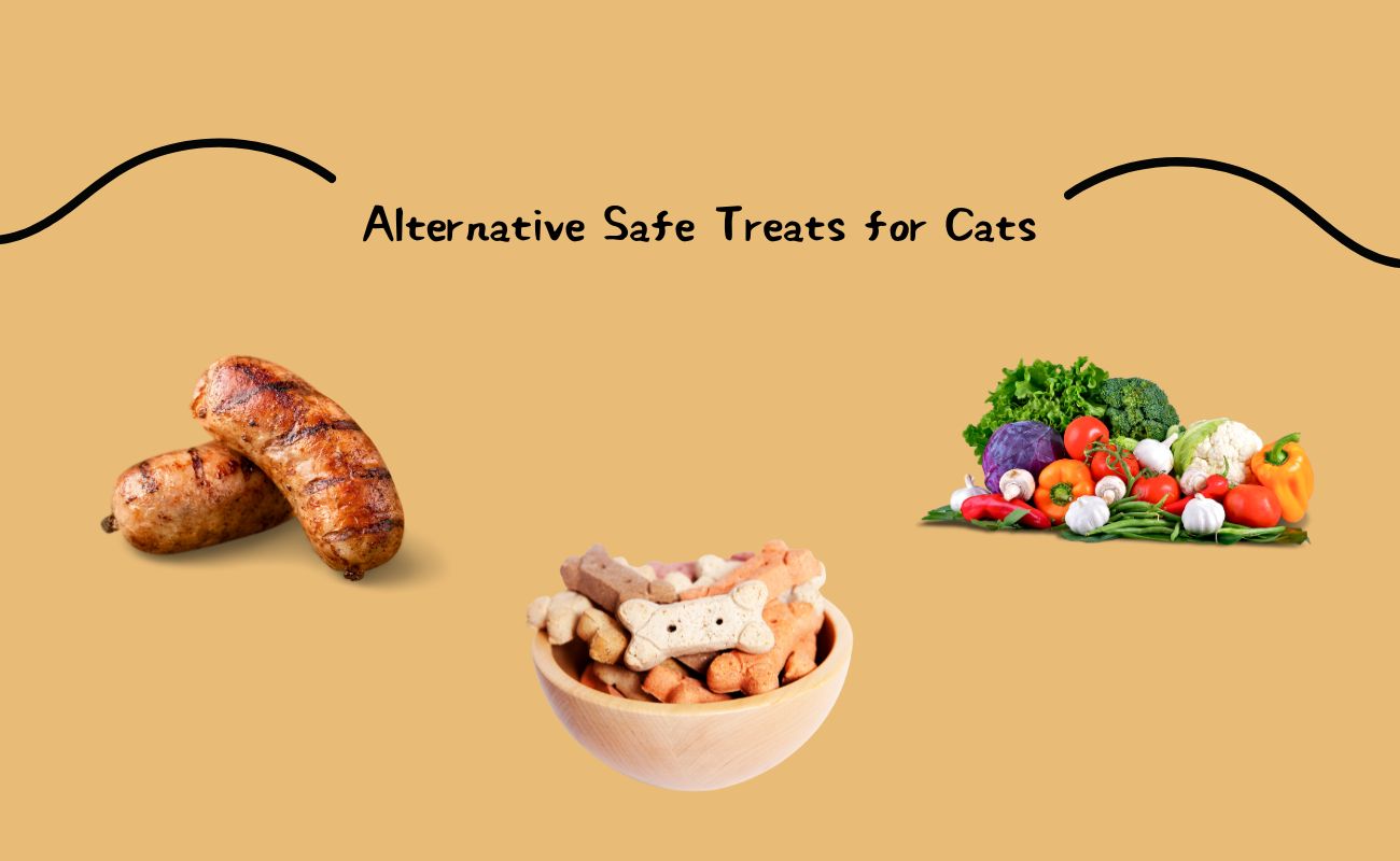 Alternative Safe Treats for Cats