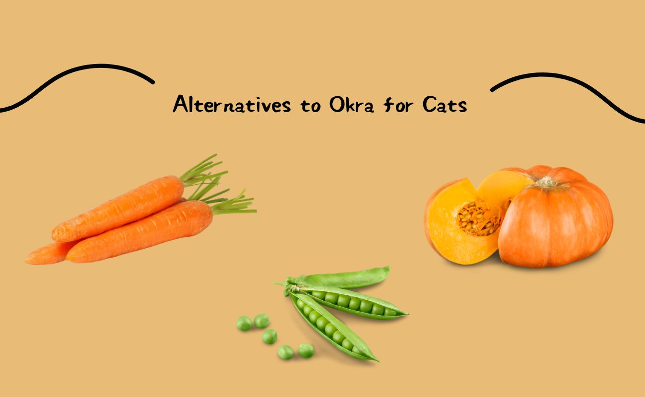 Alternatives to Okra for Cats