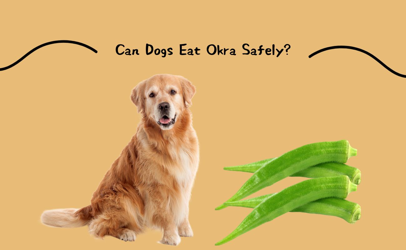 Can Dogs Eat Okra Safely?