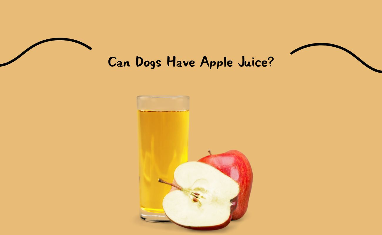 Can Dogs Have Apple Juice?