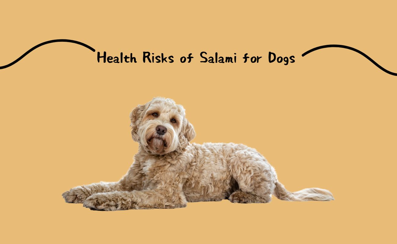 Health Risks of Salami for Dogs