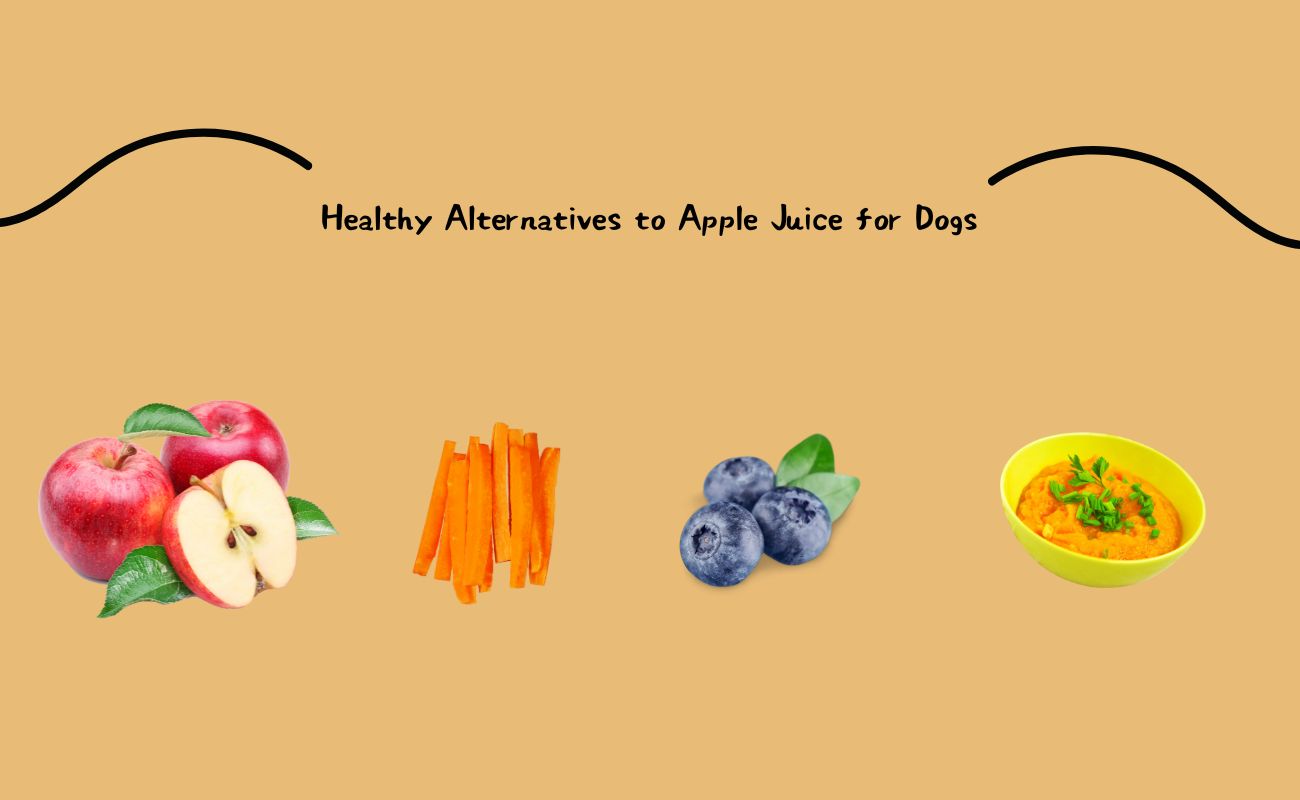 Healthy Alternatives to Apple Juice for Dogs