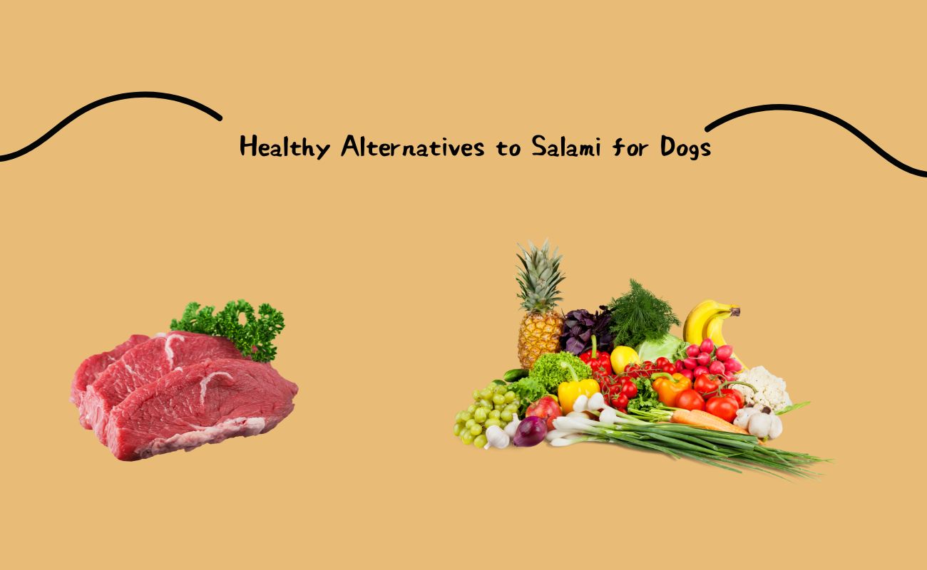 Healthy Alternatives to Salami for Dogs