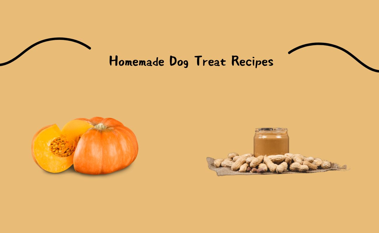 Homemade Dog Treat Recipes