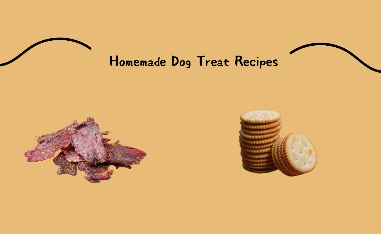 Homemade Dog Treat Recipes