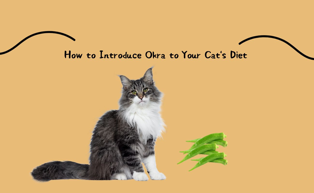 How to Introduce Okra to Your Cat's Diet