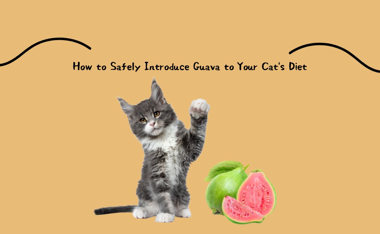 How to Safely Introduce Guava to Your Cat's Diet