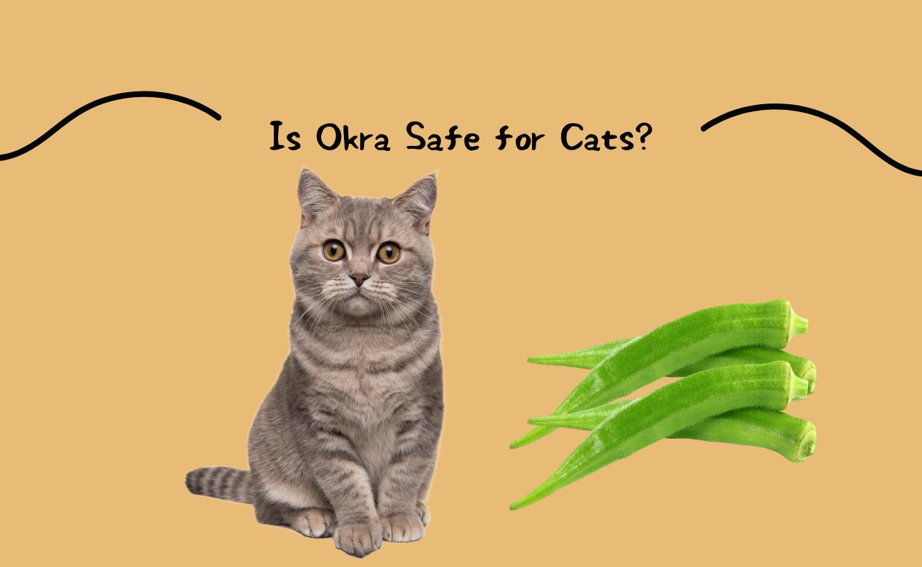 Is Okra Safe for Cats?