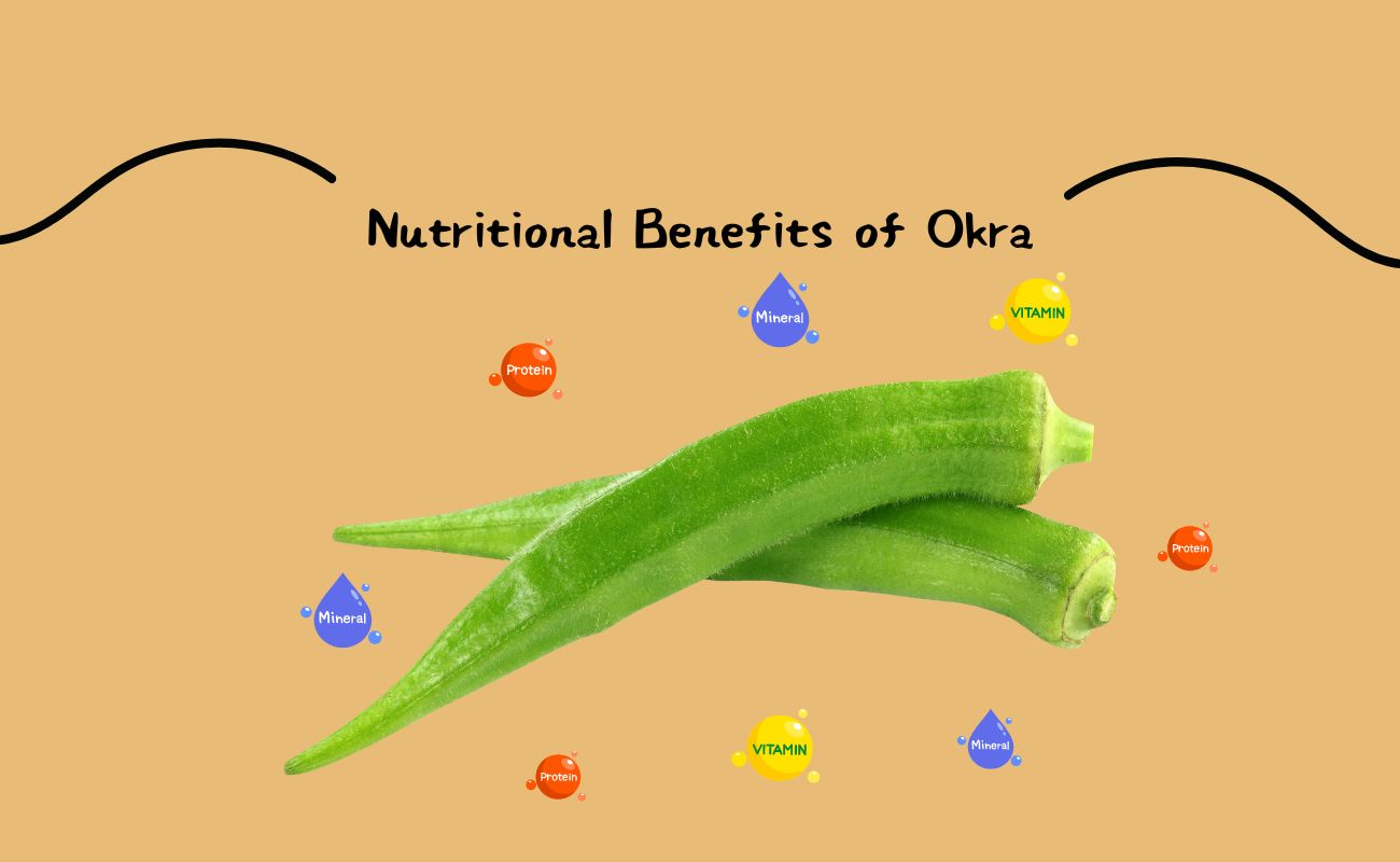 Nutritional Benefits of Okra