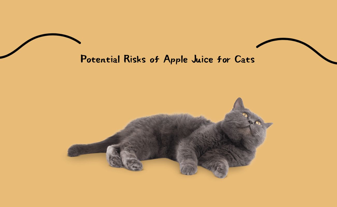 Potential Risks of Apple Juice for Cats