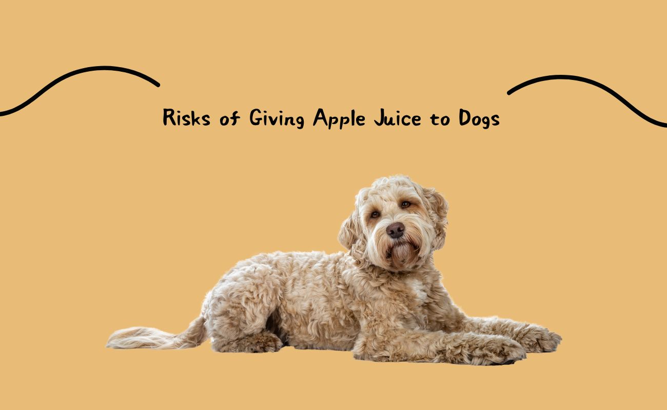 Risks of Giving Apple Juice to Dogs