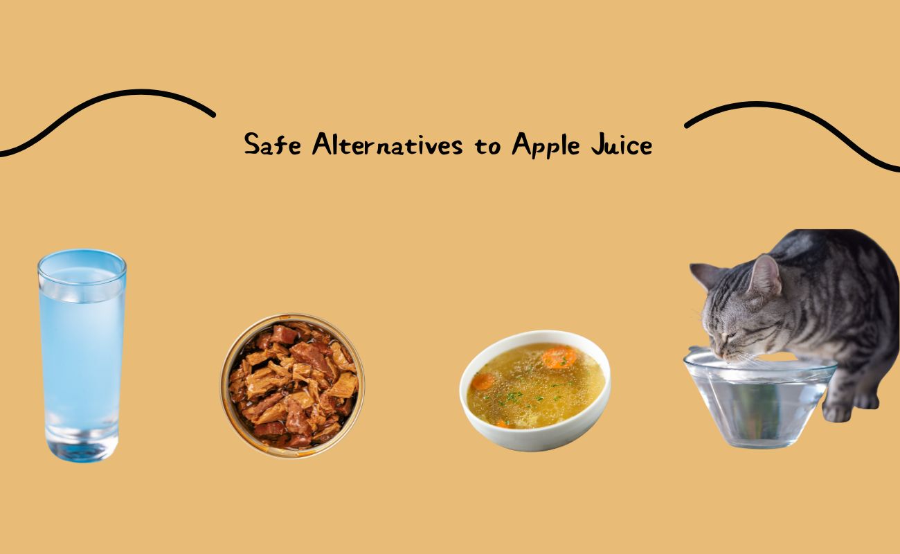 Safe Alternatives to Apple Juice