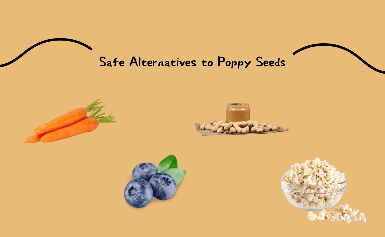 Safe Alternatives to Poppy Seeds