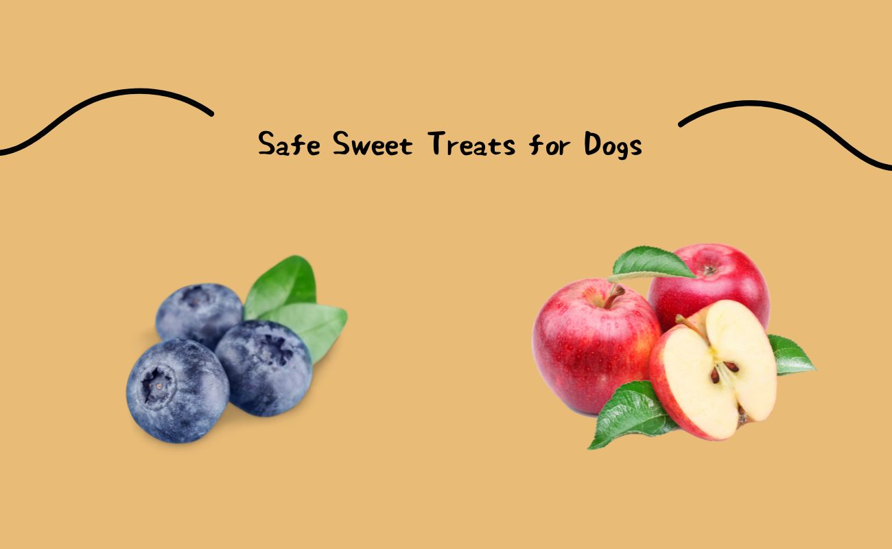 Safe Sweet Treats for Dogs