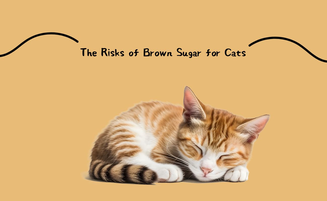 The Risks of Brown Sugar for Cats