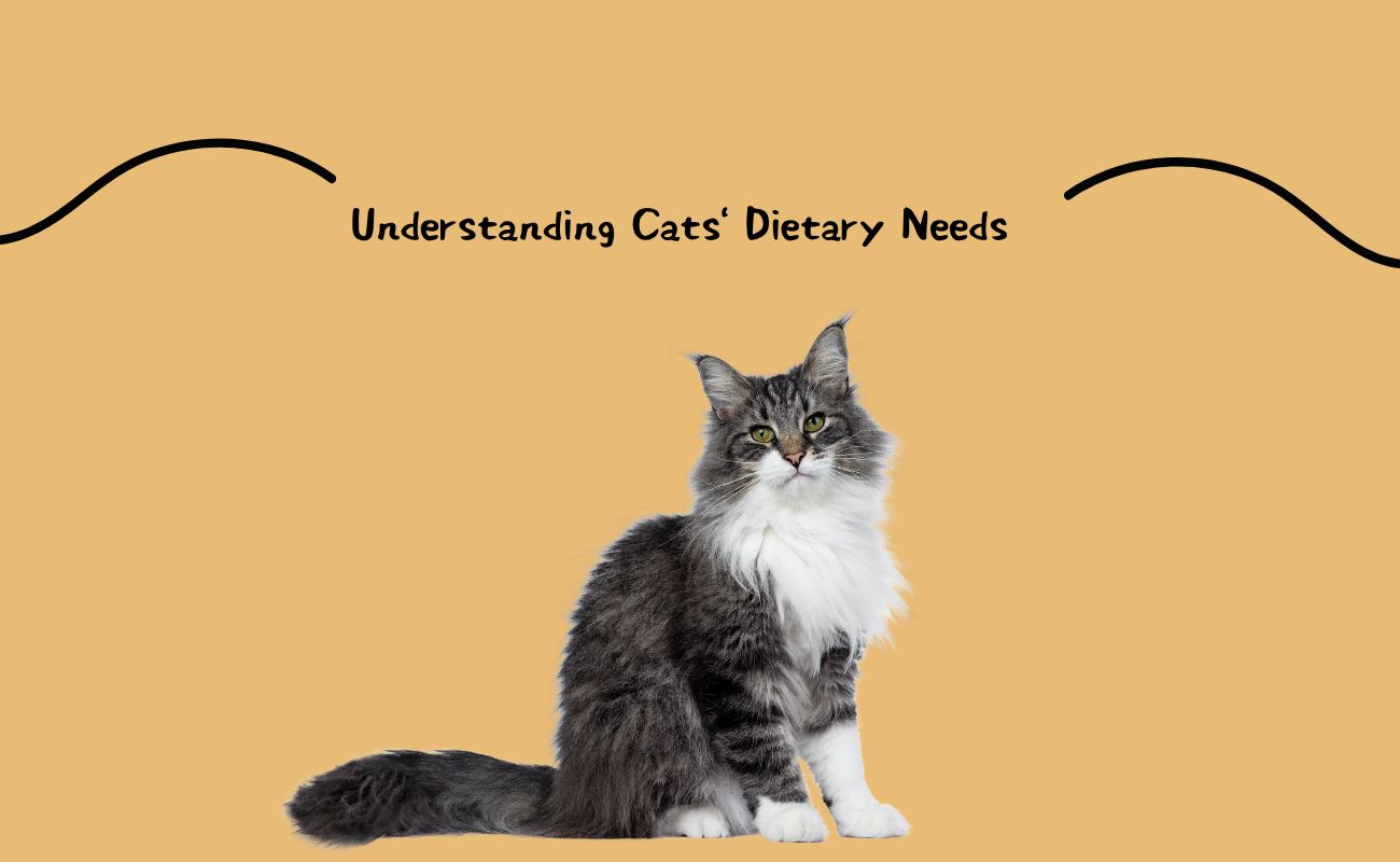 Understanding Cats' Dietary Needs