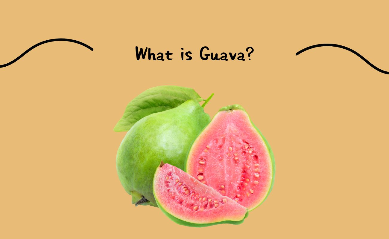 What is Guava?