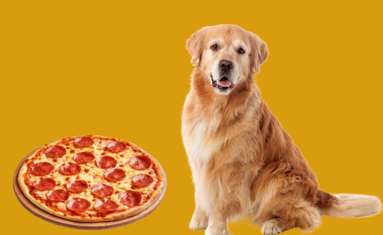 Can Dogs Eat Pepperoni? What Every Pet Parent Needs to Know!