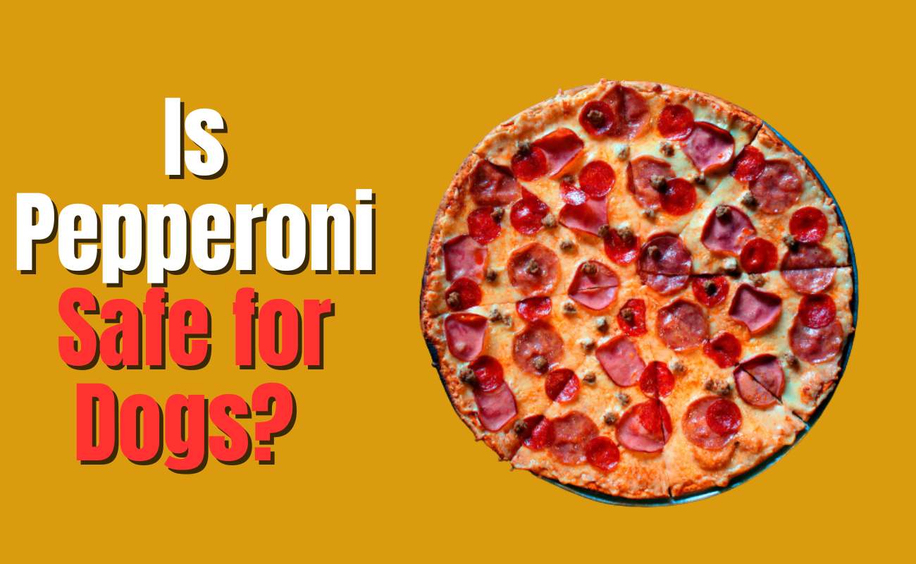 Is Pepperoni safe for dogs?