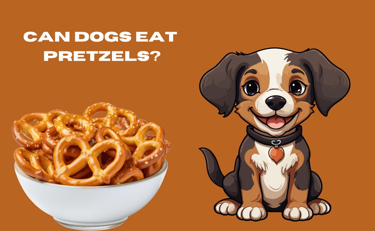 Can Dogs Eat Pretzels