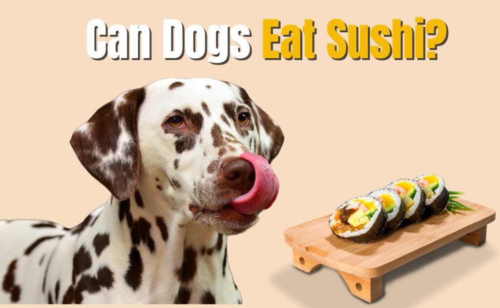 Can Dogs Eat Sushi?