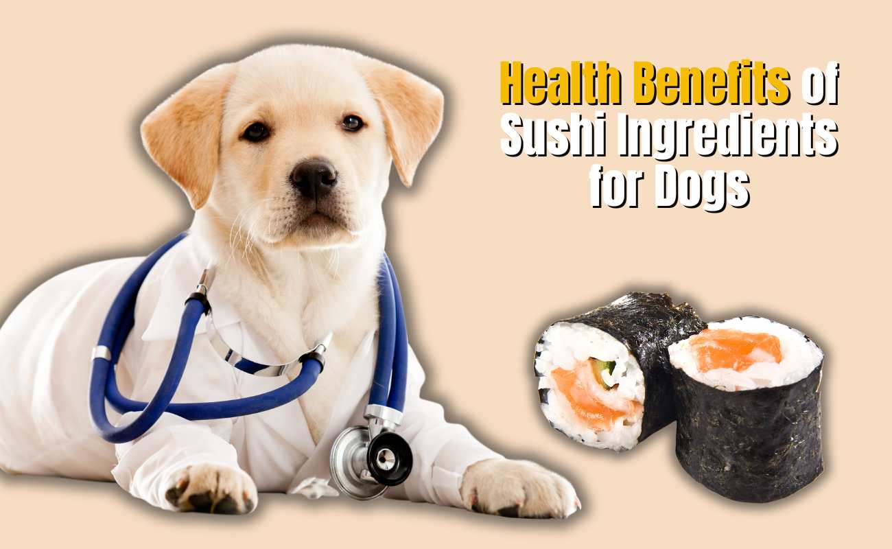 Health Benefits of Sushi Ingredients for Dogs